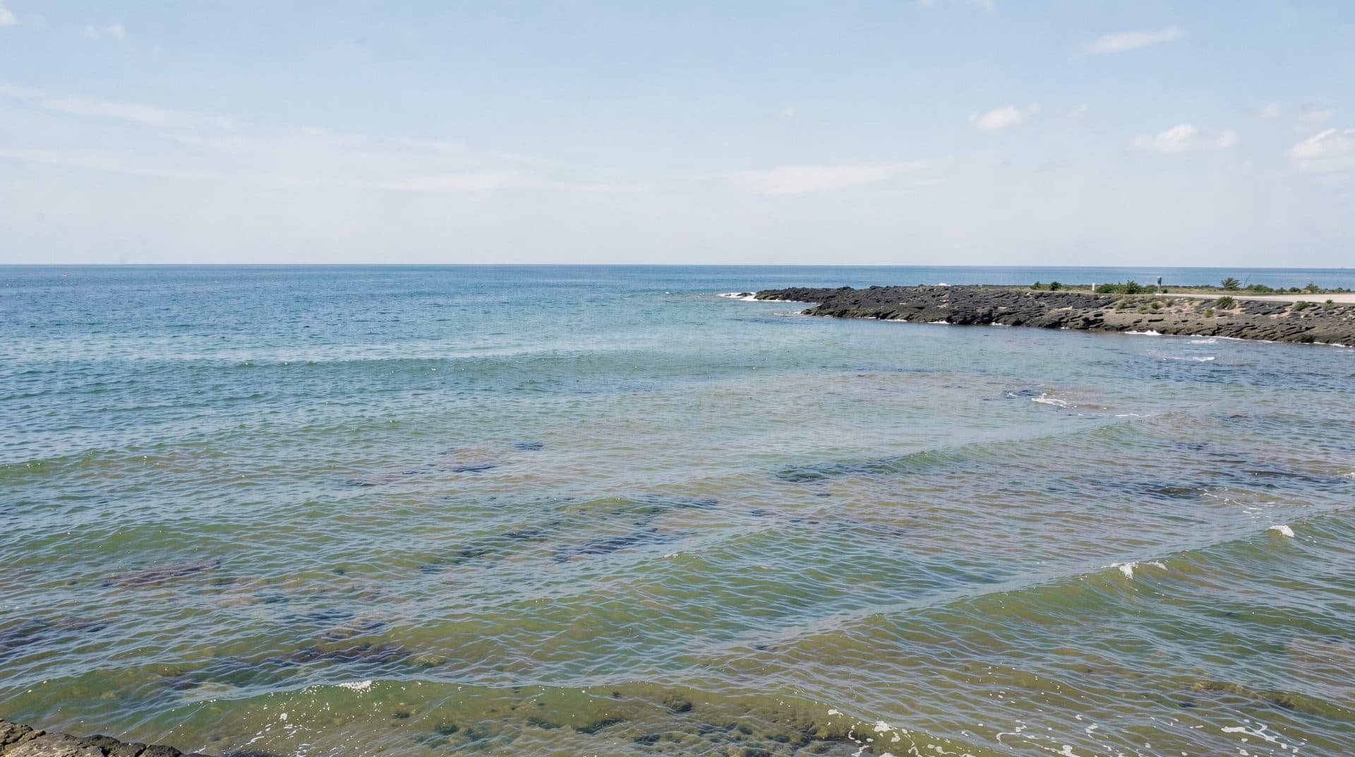 US Exempts Gulf of Mexico Oil Drilling from Endangered Species Protections