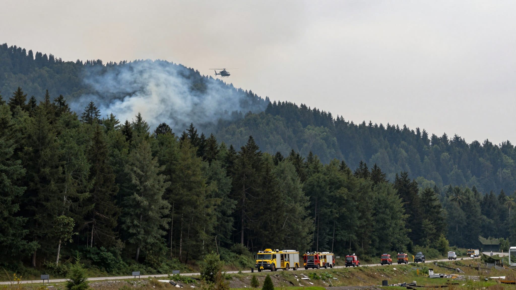Major Fire in East Tyrol: Around 170 Emergency Personnel Battle Forest Fire in Virgen