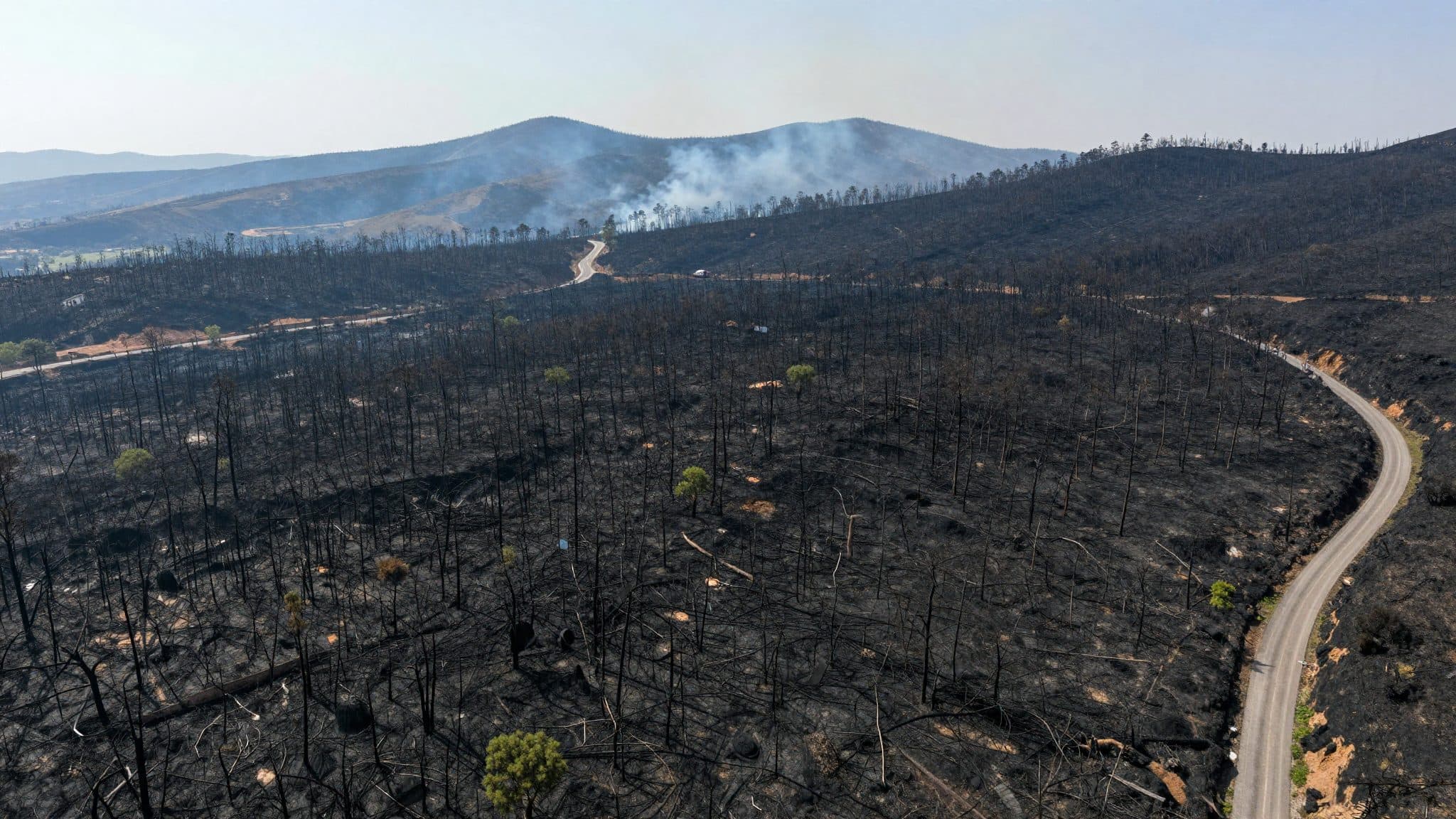 Twelve dead in Spanish forest fire that has scorched area the size of 9,400 football pitches