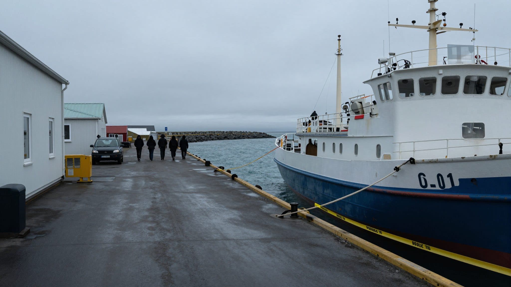 Iceland deports 21 activists who sought to disrupt whaling in Icelandic waters