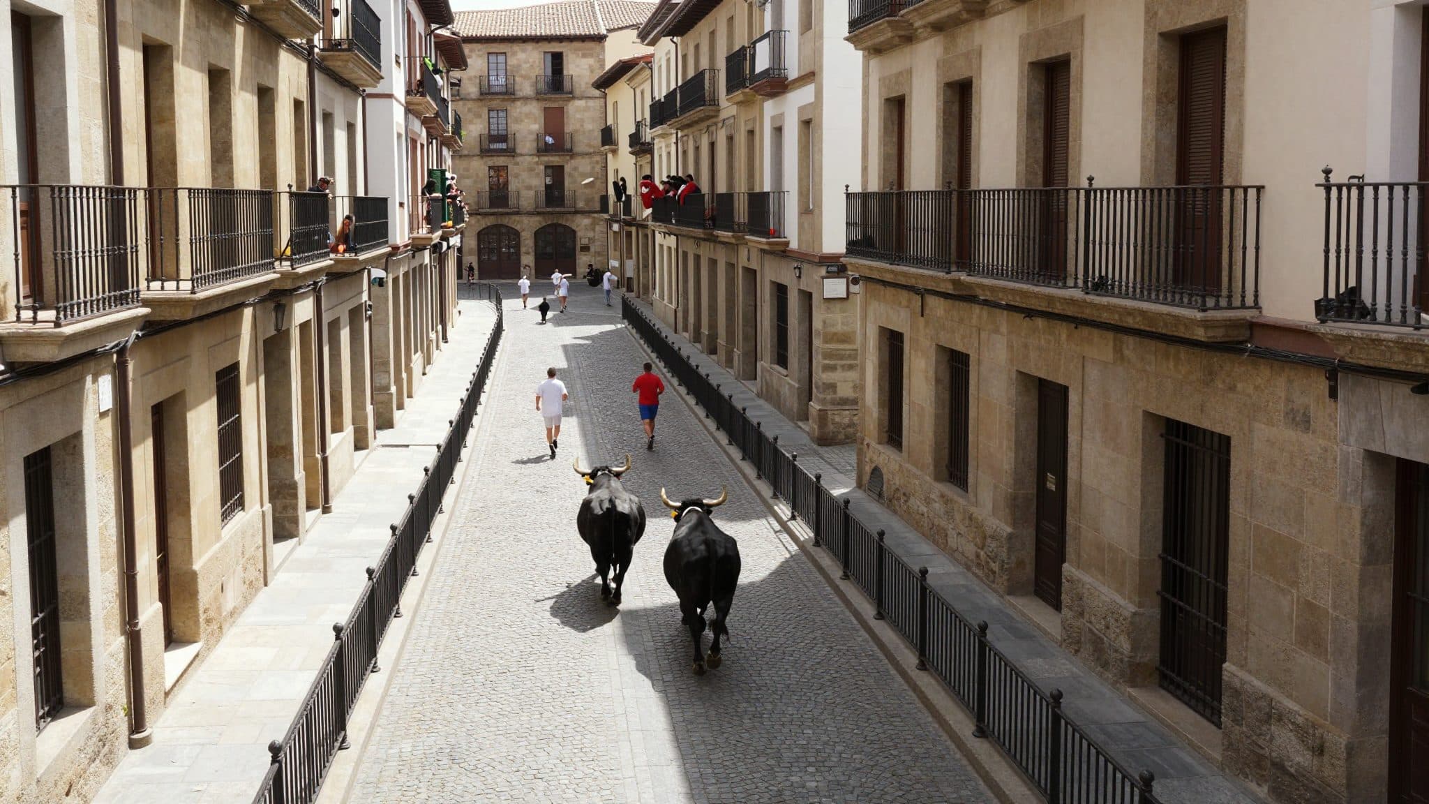 San Fermín in Pamplona begins with controversial opening: bull run and criticism of animal cruelty