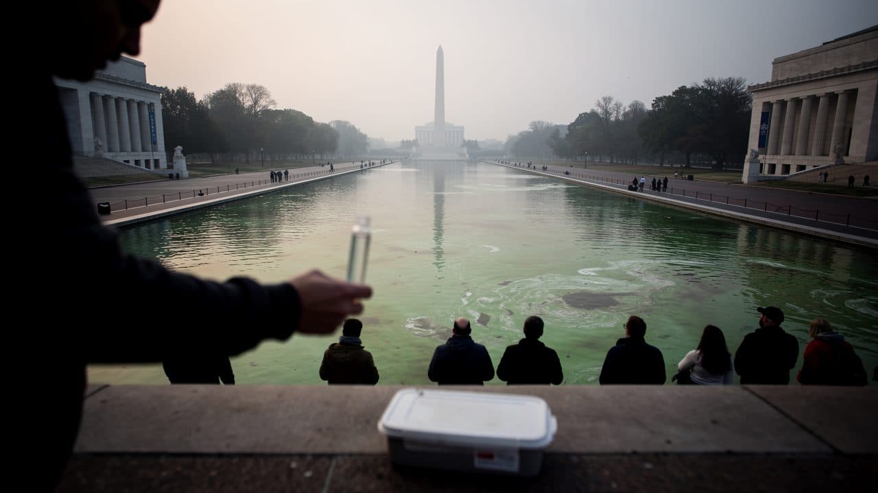Trump blames Lincoln Memorial Reflecting Pool discoloration on vandalism despite no evidence