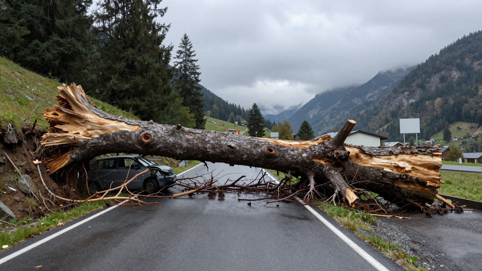 Tree falls onto car near Roppen: Driver (43) slightly injured