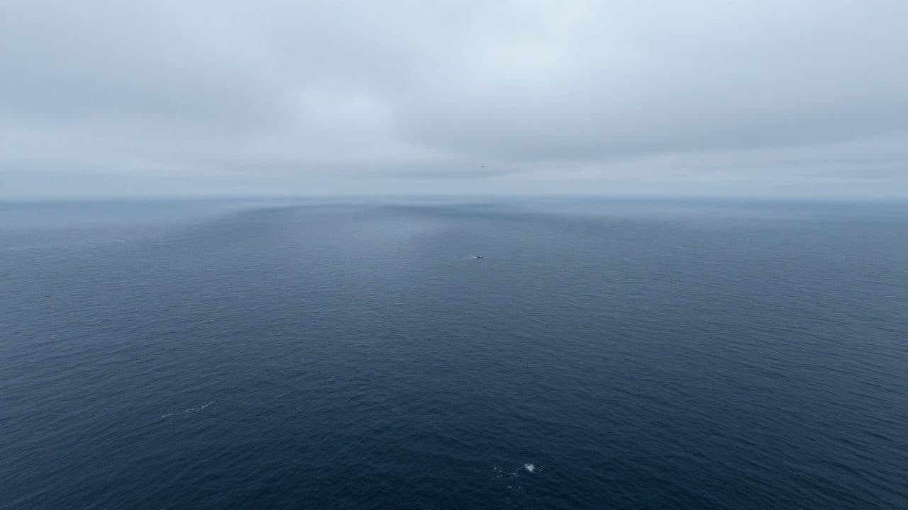 U.S. Coast Guard searches for missing Gulfstream G100 with six people on board
