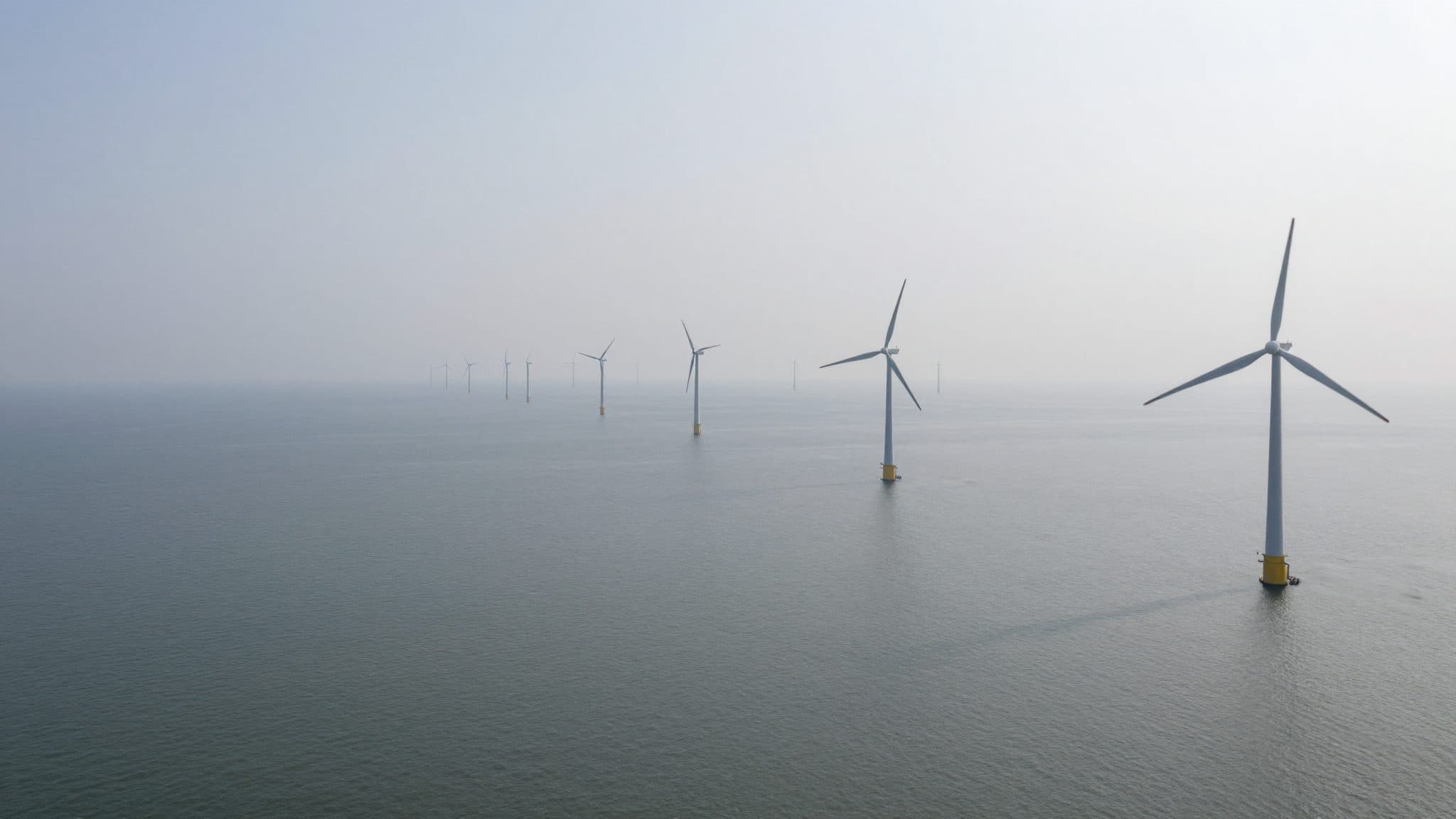 Record figure: Renewables cover 58 percent of electricity consumption in the first half of the year