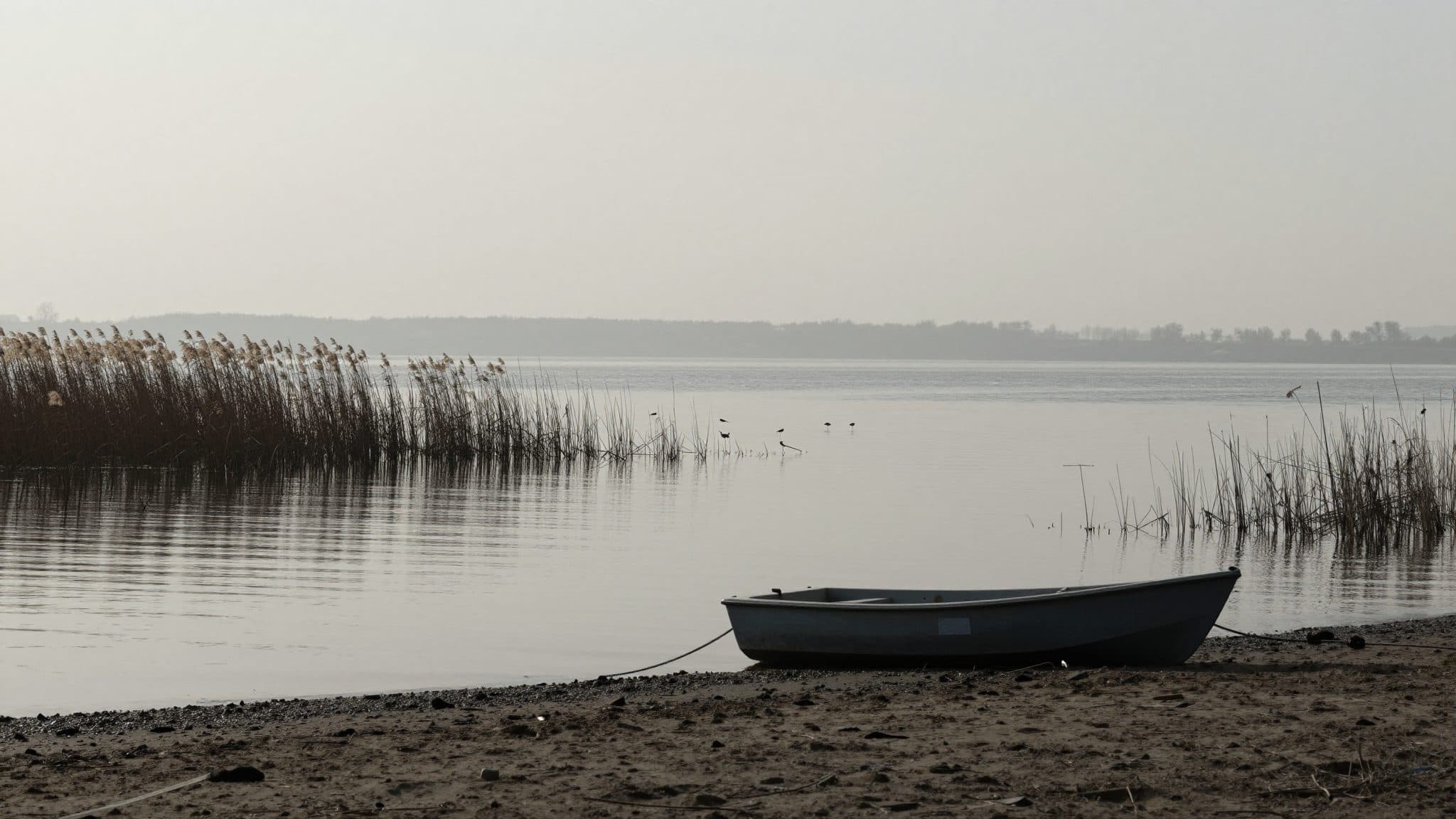 Halle Administrative Court Halts Opening of Northern Part of Geiseltalsee for Water Sports and Tourism