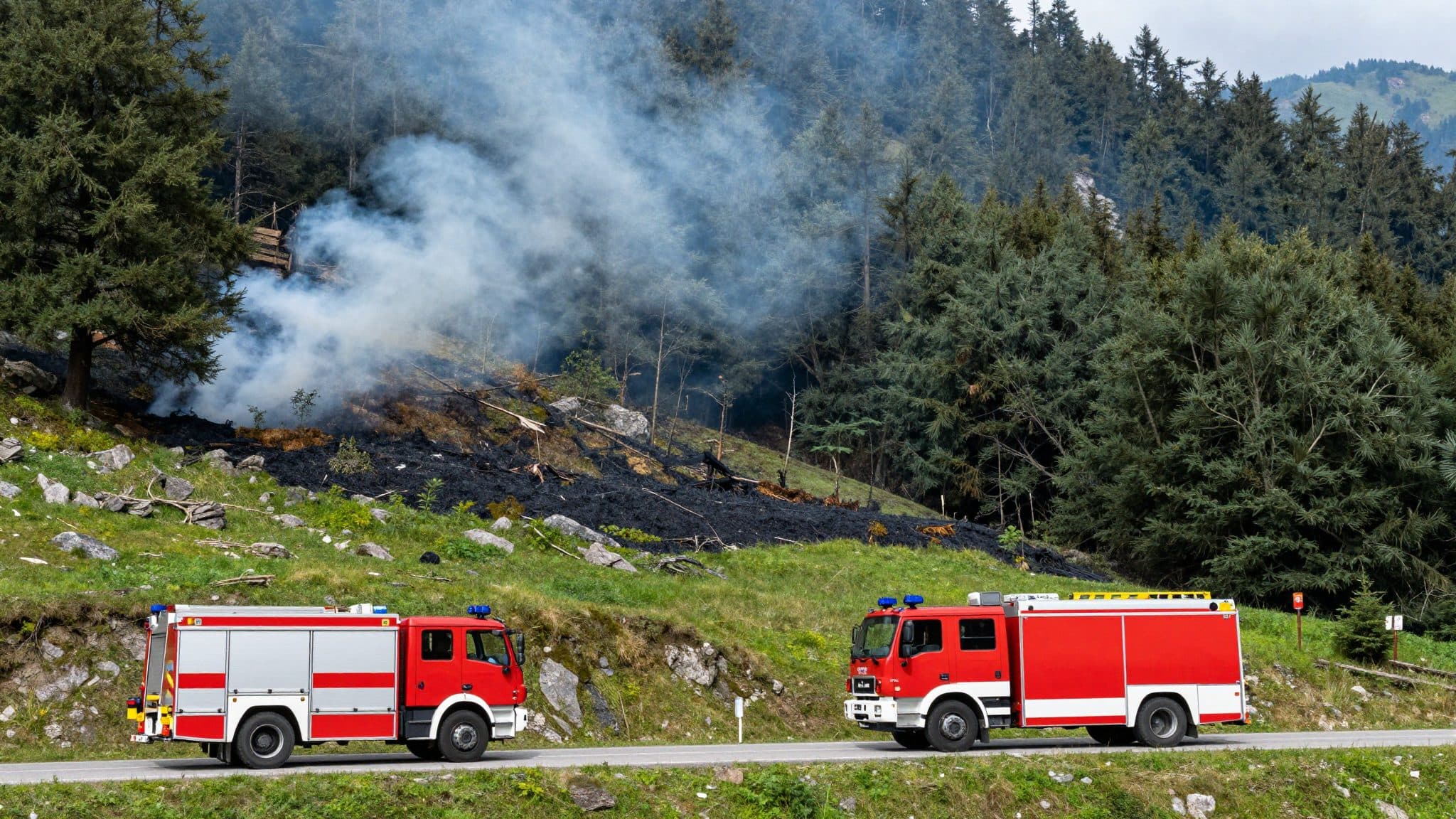 Forest fire on the Hochstein near Lienz: Firefighters prevent greater damage