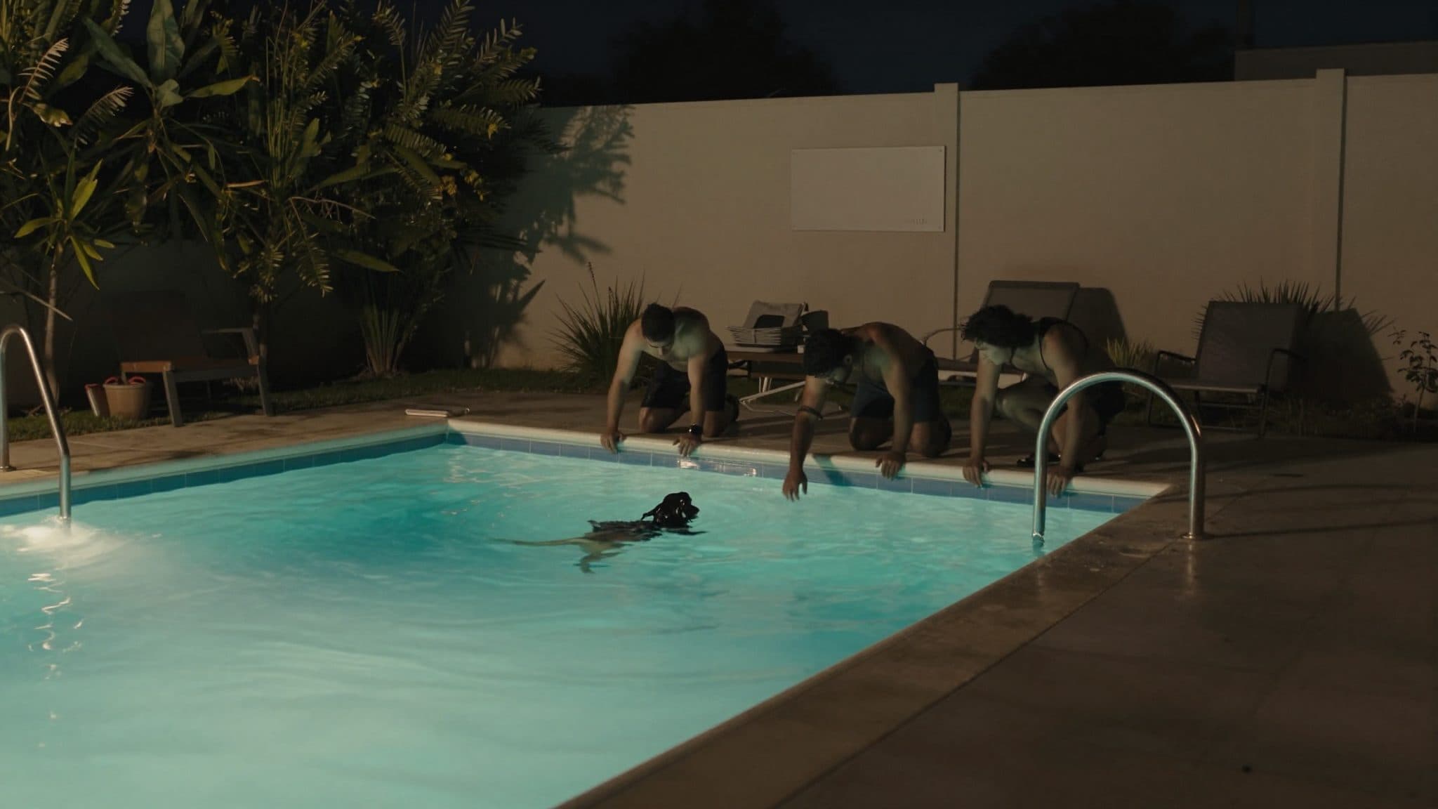 Fire Department Rescues Roe Deer from Private Swimming Pool in St. Florian