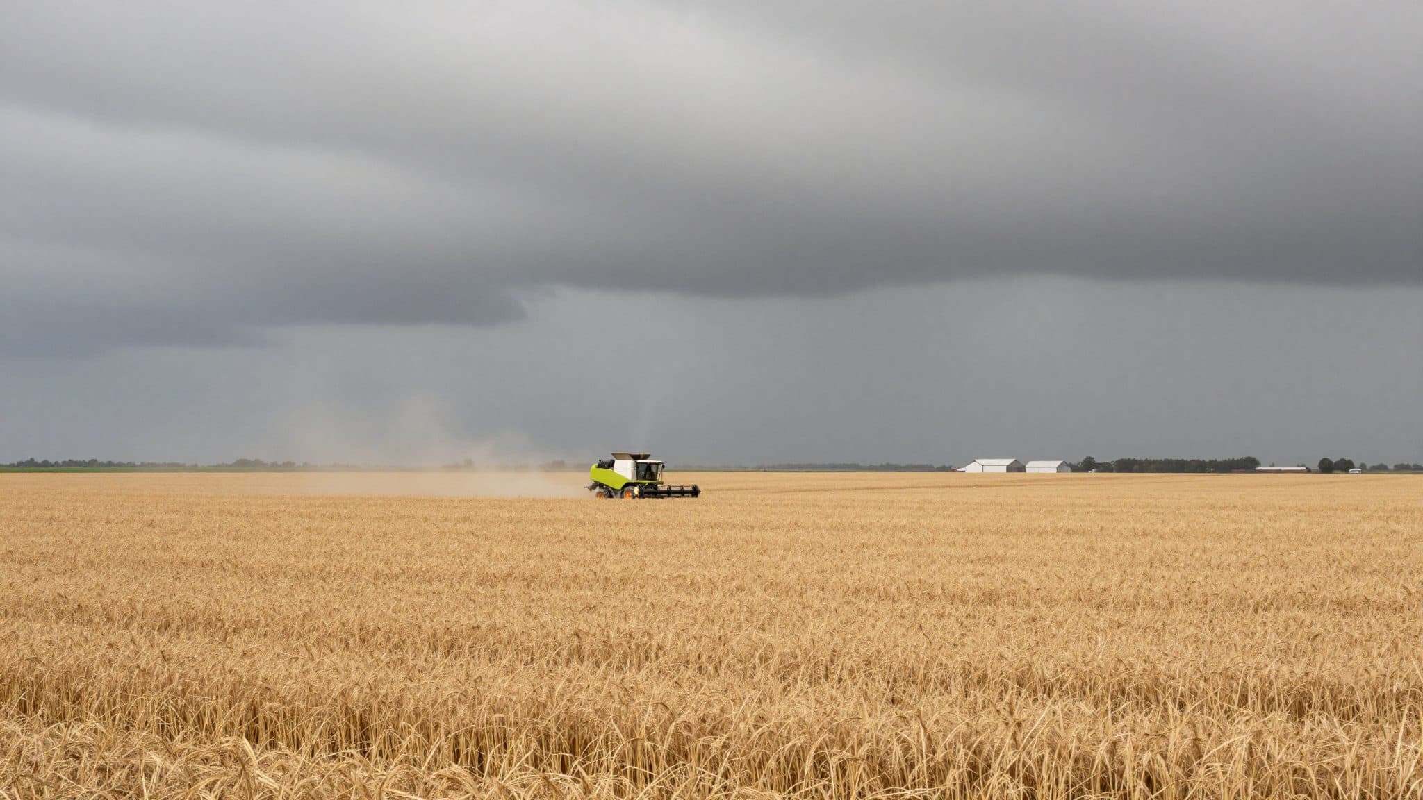 FAO and OECD expect significantly more agricultural production by 2035 – with rising emissions