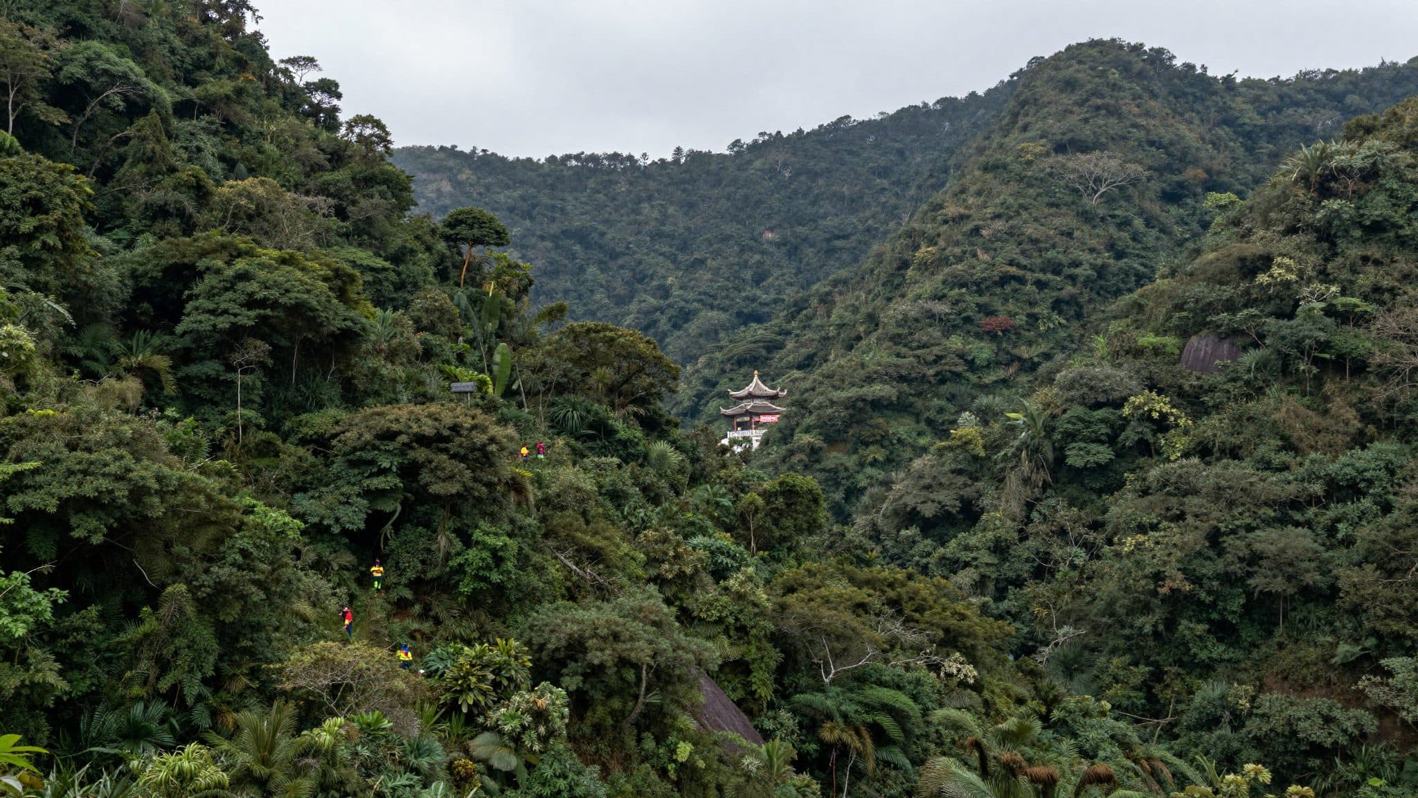 Four dead in helicopter crash near Vista Chinesa in Rio de Janeiro
