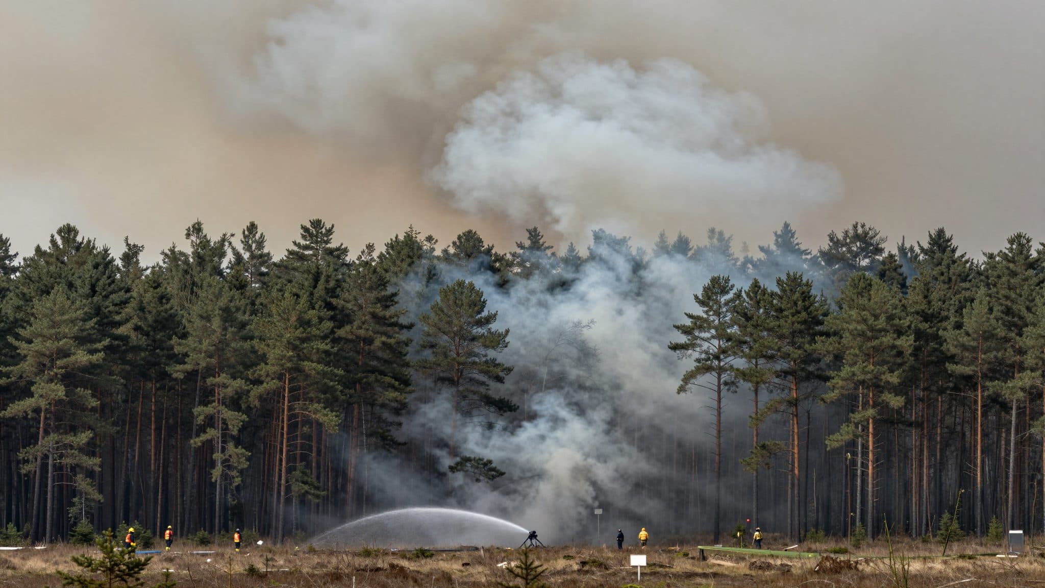 Forest fire in Müritz National Park: 318 hectares affected