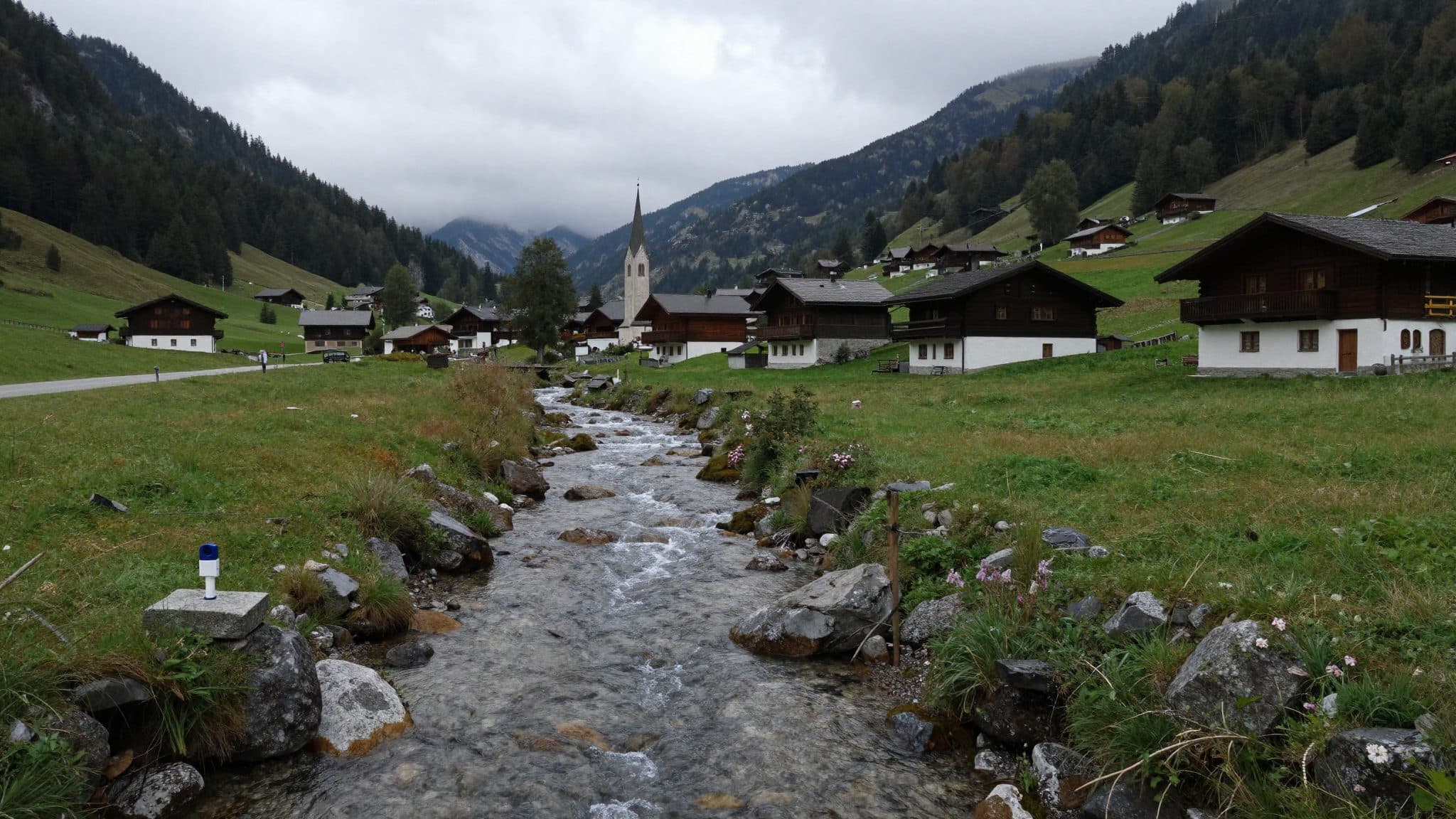 Dead and emaciated dog found in Ellmau – 38-year-old owner missing